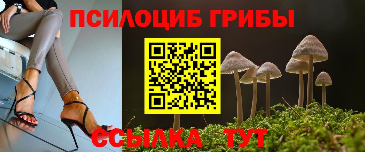 Галлюциногенные грибы GOLDEN TEACHER  Вход с VPN  Городец  Псилоцибиновые грибы Psilocybe 